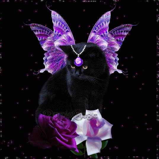 animal084.gif, 200 KB