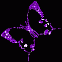 animal_9.gif, 2 KB