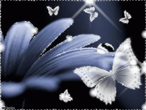 flower022.gif, 255 KB